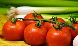 西红柿姐姐网红吃瓜,揭秘娱乐圈幕后真相